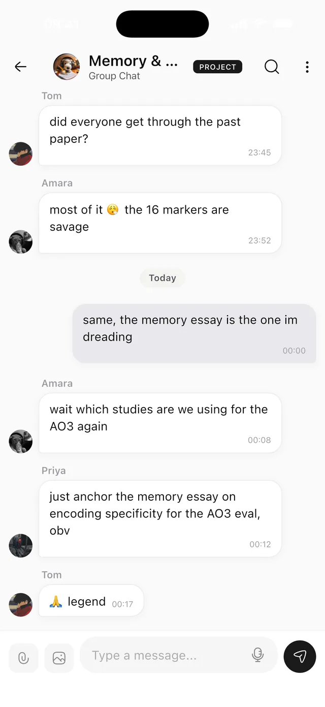 A shared Normi project with group chat alongside the project's files